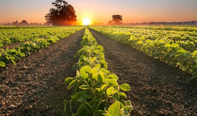 Crop-Yield-Forecasting-Teaser-1024x672