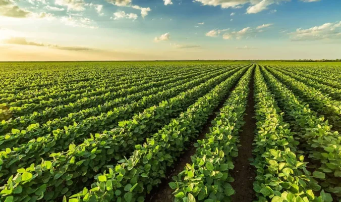 Researchers-Reveal-Supercharged-Plants-That-Can-Reduce-Global-Warming