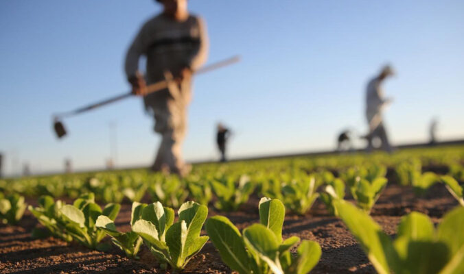 milestone_agriculture-east_africa