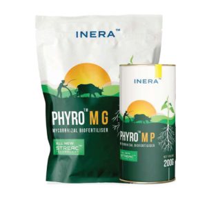 PHYRO MG & MP