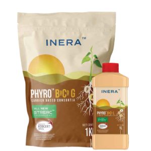 PHYRO BACOG &  BaCoL