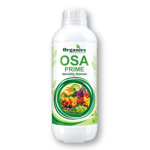 OSA PRIME